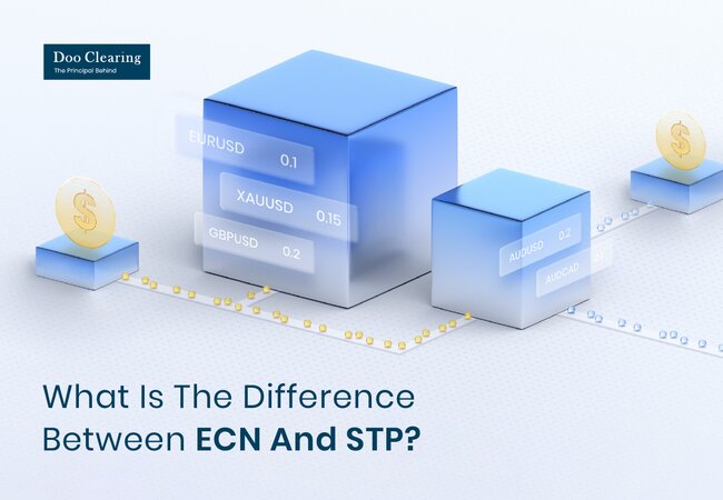 What Is The Difference Between ECN And STP?